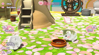 Tales of Djungarian Hamster screenshot 2