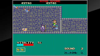 Arcade Archives DRAGON BUSTER screenshot 6