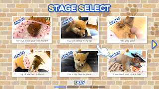 Pixel Game Maker Series Shiba Mekuri screenshot 1