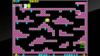 Arcade Archives Chack'n Pop screenshot 1