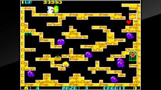Arcade Archives Chack'n Pop screenshot 2