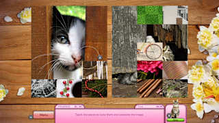I Love Finding Cats! - Collector's Edition screenshot 4