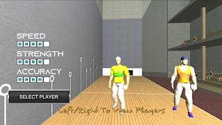 Handball Pelota screenshot 3
