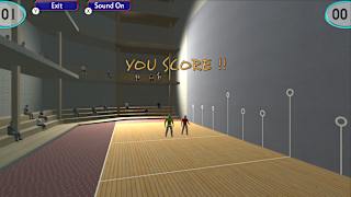 Handball Pelota screenshot 1