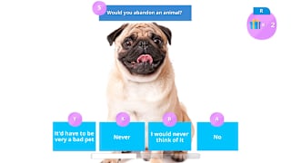 Adopt an Animal Near Me screenshot 6