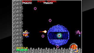 Arcade Archives BARADUKE screenshot 6