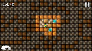Sokoban Block Puzzle screenshot 5
