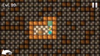 Sokoban Block Puzzle screenshot 4
