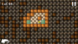 Sokoban Block Puzzle screenshot 1