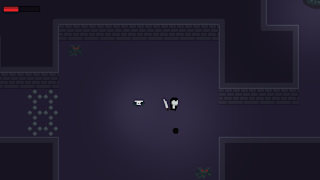 Wampir Dungeon screenshot 6