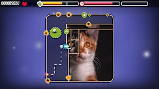 Animal Puzzle Cats screenshot 2
