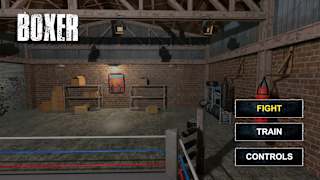 Boxer screenshot 1