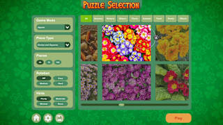 Puzzle Vacations: Ireland screenshot 2