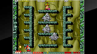 Arcade Archives DON DOKO DON screenshot 4