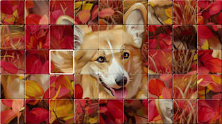 Swap Puzzles screenshot 5