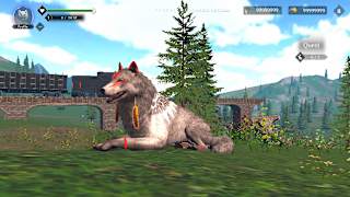 Wolf Simulator: RPG Survival Animal Battle screenshot 1