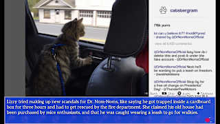 Cat President: A More Purrfect Union screenshot 3