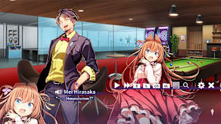 Fantastical Mystery Adventure Ultimate Jumbo Jet Murder Case screenshot 5