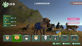 DOG RACING - LOVELY PET FRIENDS PAW screenshot 2
