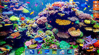Just Find It Collector's Edition screenshot 4