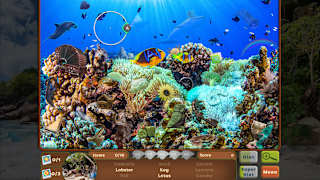 Nature Escapes 3 Collector's Edition screenshot 4