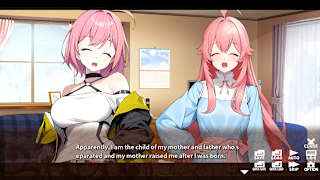 Undesired Harem - ハーレムなんか望んでない！ - screenshot 5
