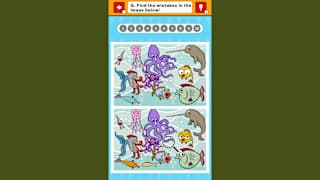 Ultra Hard! Spot the Difference Challenge screenshot 4