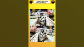 Train Your Brain! Spot the Difference with Cat Photos screenshot 3