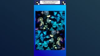 Train Your Brain! Spot the Difference with fish photos screenshot 1