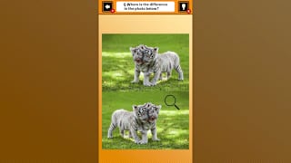 Train Your Brain! Spot the Difference with Animal Kids Photos screenshot 4