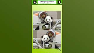 Super kawaii! Finding mistakes in panda photos screenshot 1