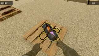 Border Police: Contraband Simulator 2024 screenshot 5