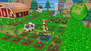 Harvest Moon®: Skytree Village screenshot 1