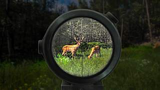 Hunter Simulator : Wild Hunting screenshot 4