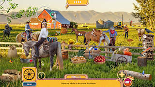Amazing Weekend Search and Relax Collector's Edition screenshot 3