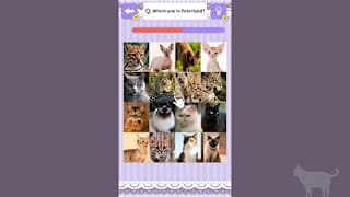 Cat Spotting Challenge! screenshot 4