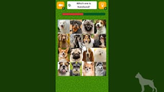 Dog Spotting Challenge! screenshot 4