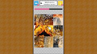 Brain Challenge Spot the Real One! screenshot 1