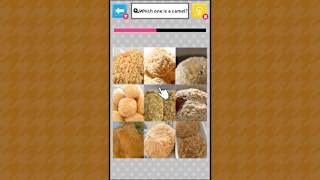 Brain Challenge Spot the Real One! screenshot 3