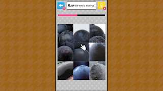 Brain Challenge Spot the Real One! screenshot 2