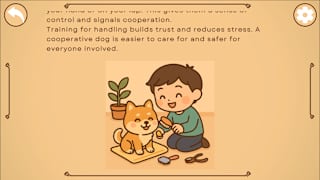 All About Dog Training screenshot 5