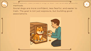 All About Dog Training screenshot 4