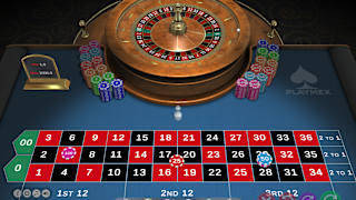 Pro Roulette screenshot 3