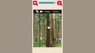 Peek a Rabbit! screenshot 2
