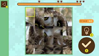 Brain Workout! Spinning Animal Puzzle screenshot 4