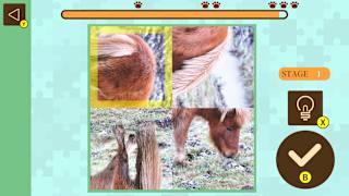 Brain Workout! Spinning Animal Puzzle screenshot 3