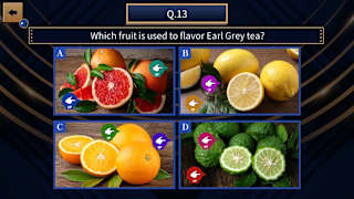 National Quiz of Common Sense screenshot 3