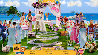 Amazing Weekend 3 Search and Relax Collector's Edition screenshot 2