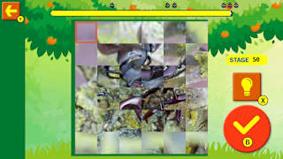 Brain Workout!Spinning Insect Puzzle screenshot 4