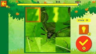 Brain Workout!Spinning Insect Puzzle screenshot 2